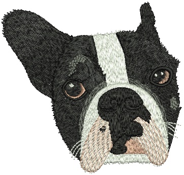 Pet portrait embroidery